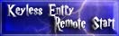 Remote Start / Keyless Entry