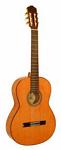 Barraza BZSC39N Classical Guitar Solid Cedar Top with Case